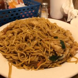 Chicken noodles
