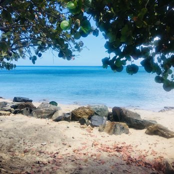 Turtle's Deli - Sandwiches Near Me - Frederiksted, Virgin Islands
