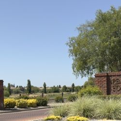 Empire Ranch Golf Club - 6/16/2025:  I met a friend here for playing golf--THIS is a gargantuan golf course!