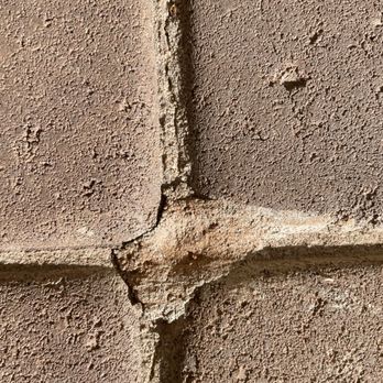 Bug Science - The image shows a close-up of a brick wall with a prominent crack running through the mortar joints. The bricks have a rough, textured surface, and the mortar appears to be deteriorating, with some areas chipped or crumbling. The focus is on the structural damage and surface details of the wall, with no other objects or context visible. - Pest Control Near Me