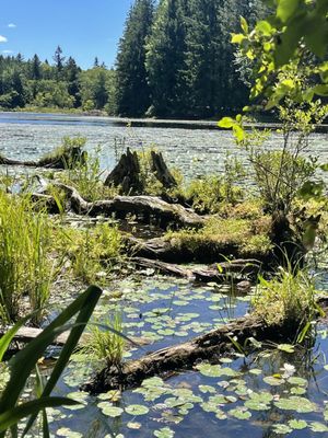 Promised Land State Park by null