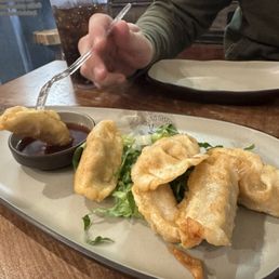 Pork dumplings fried