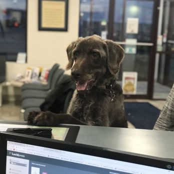Bethany Animal Hospital - Veterinarians Near Me - Sycamore, Illinois Bethany Animal Hospital - Veterinarians Near Me - Sycamore, Illinois