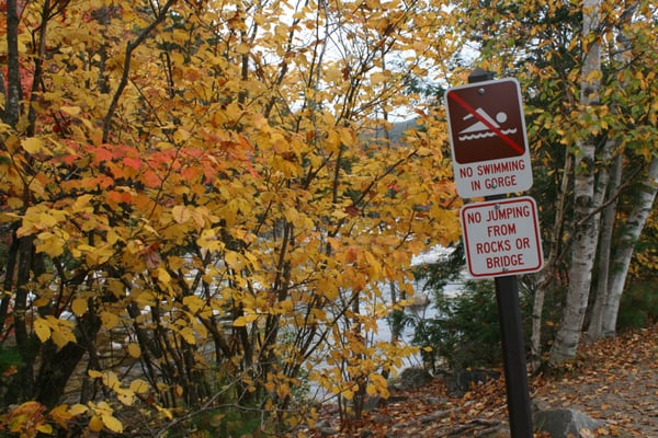 Rocky Gorge Scenic Area by null