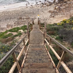 Dume Cove - The only stairway leading to the beach but beware there were lots of dead seals and birds on the beach which is pretty disturbing
