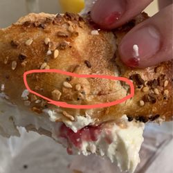 Utopia Bagels - I guess this explains all. Found few hair on my bagel. Waited almost a hour and having this kind of issue is not acceptable.