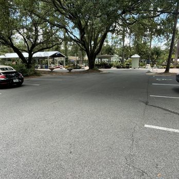 Tallahassee Nurseries Inc - Nurseries & Gardening Near Me - Tallahassee, Florida Tallahassee Nurseries Inc - Nurseries & Gardening Near Me - Tallahassee, Florida