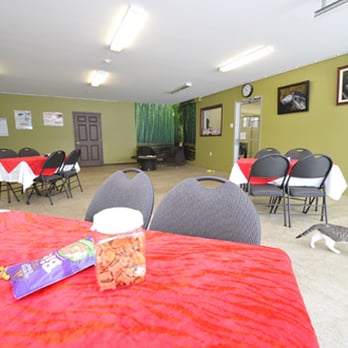 Élevage Le Cabotin - Café Canin - Pet Training Near Me - Mirabel, Quebec Élevage Le Cabotin - Café Canin - Pet Training Near Me - Mirabel, Quebec
