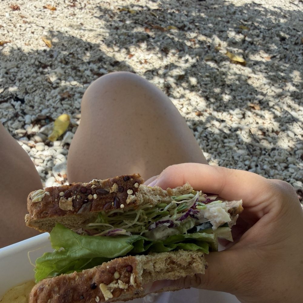 Māla Market - Mostly lettuce and some bread with minimal filling - Sandwiches Near Me - Kailua, Hawaii Māla Market - Mostly lettuce and some bread with minimal filling - Sandwiches Near Me - Kailua, Hawaii