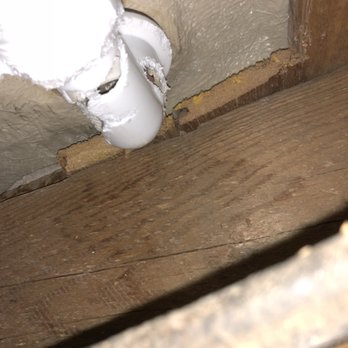Wats Plumbing, Willie Yell - Even when varmints cause a leak - Plumbing Near Me Wats Plumbing, Willie Yell - Even when varmints cause a leak - Plumbing Near Me