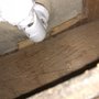 Photo of Wats Plumbing, Willie Yell