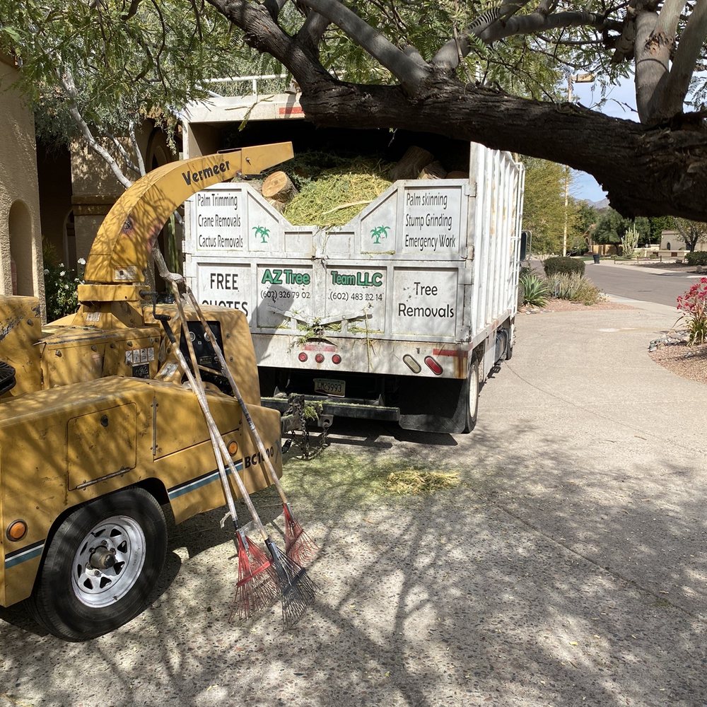 Arizona Tree Team | Phoenix Tree Removal | Trimming - Tree Services Near Me - Phoenix, Arizona