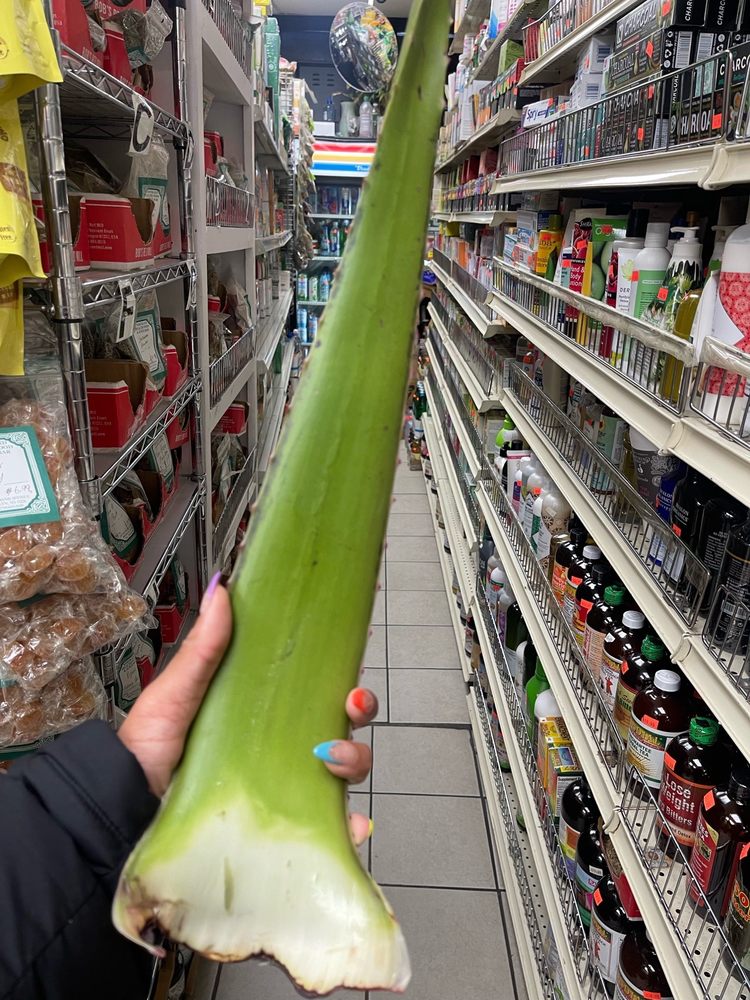 NOSTRAND HEALTH FOODS Updated September 2024 82 Photos & 34 Reviews