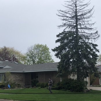 Final Oaks Tree Service - Tree Services Near Me - Lake Bluff, Illinois