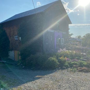 Rasta Ranch Vineyards - The Rasta Ranch - Wineries Near Me - Hector, New York