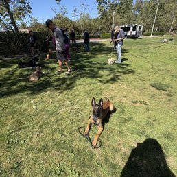 Jagger...at training Jagger...at training
