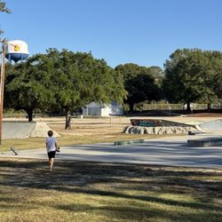 David H Mcleod Park - Skate park