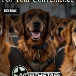 Northstar Kennels - We have our very own dog bus, so we can bring our great services to you, and provide great adventures for your furry friend!