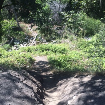 Falls Canyon Falls - This is the path that leads you to the trail! - Hiking Near Me - Trabuco, California