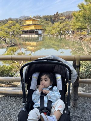 Kinkaku-ji by null