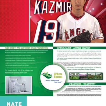 Nate Wren Graphic Design - Angels Player intro video, Brochure design. - Marketing Near Me - Temecula, California