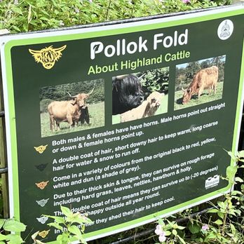Pollok Country Park - Info about Highland Cows - Parks Near Me - Glasgow, GLG Pollok Country Park - Info about Highland Cows - Parks Near Me - Glasgow, GLG