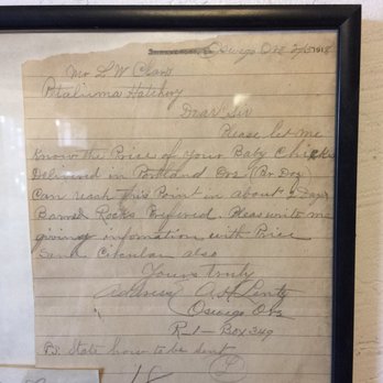 Petaluma Tire Source - Amazing invoices from the turn of the 20th century on display!!! - Tires Near Me - Petaluma, California