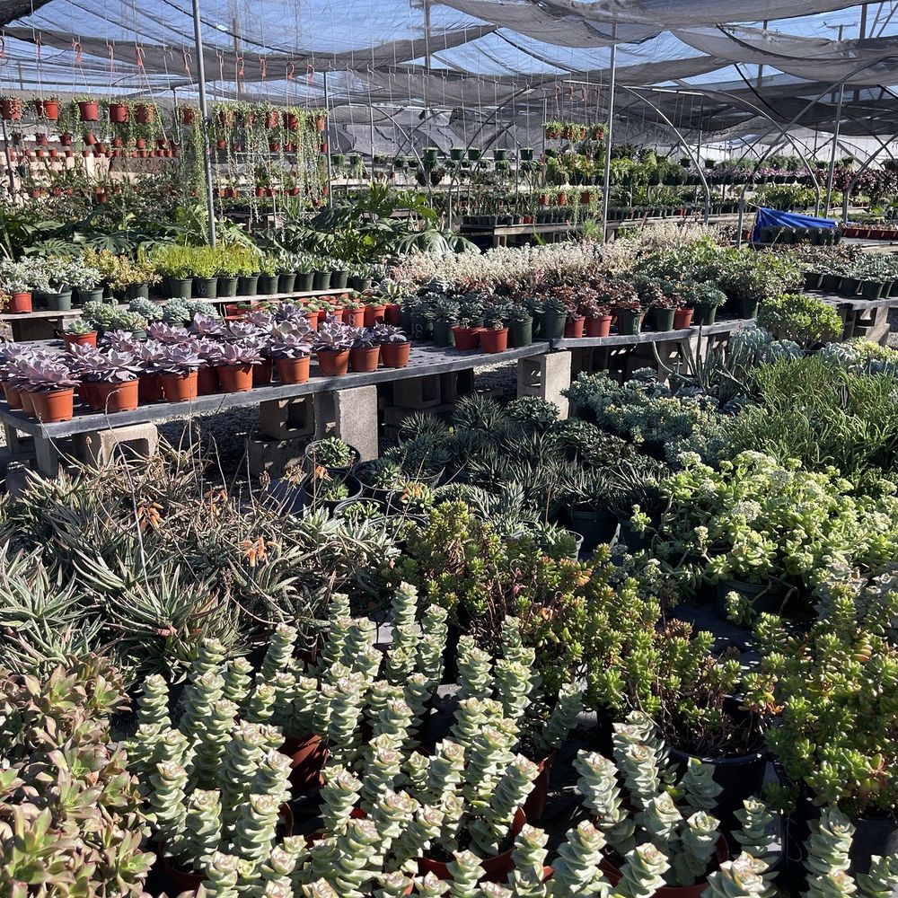 Garibaldo's Nursery - Nurseries & Gardening Near Me - Bellflower, California