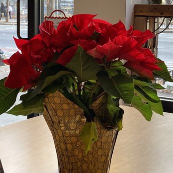 Perk Coffee - I'm feeling the Perk Xmas Spirit. 12/07/21 - Coffee & Tea Near Me - New York, New York Perk Coffee - I'm feeling the Perk Xmas Spirit. 12/07/21 - Coffee & Tea Near Me - New York, New York