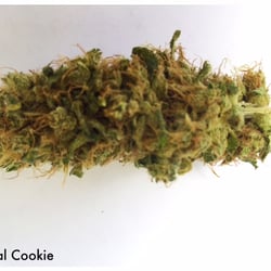 Santa Barbara Greenland Deliveries - Just one of our many killer strains: Animal Cookie