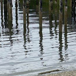 View of old piers off deck