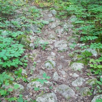 Bear Head Lake State Park - Typical trail terrain, lots of rocks and exposed tree branches. Wear good boots with ankle support. - Parks Near Me - Ely, Minnesota