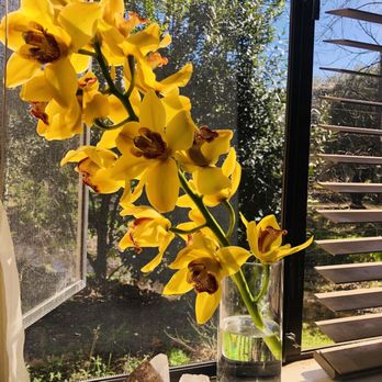 Treestar Solutions - Orchid - Tax Services Near Me - Chico, California