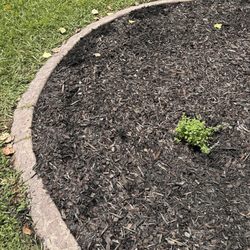 Wilson’s Landscaping