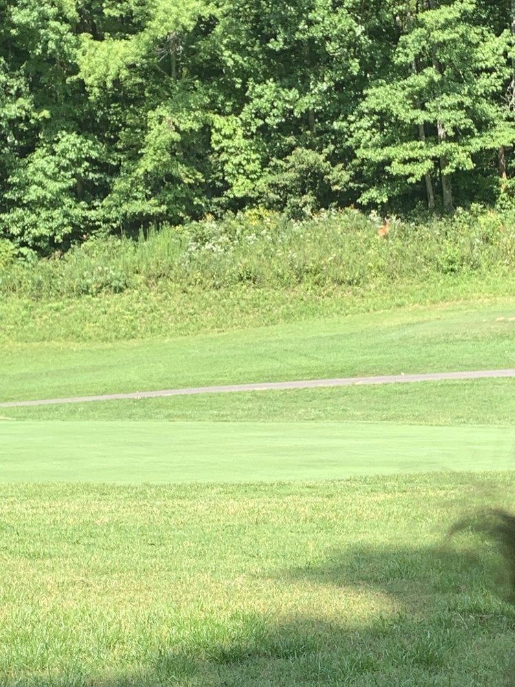 Wild Laurel Golf Course Logo