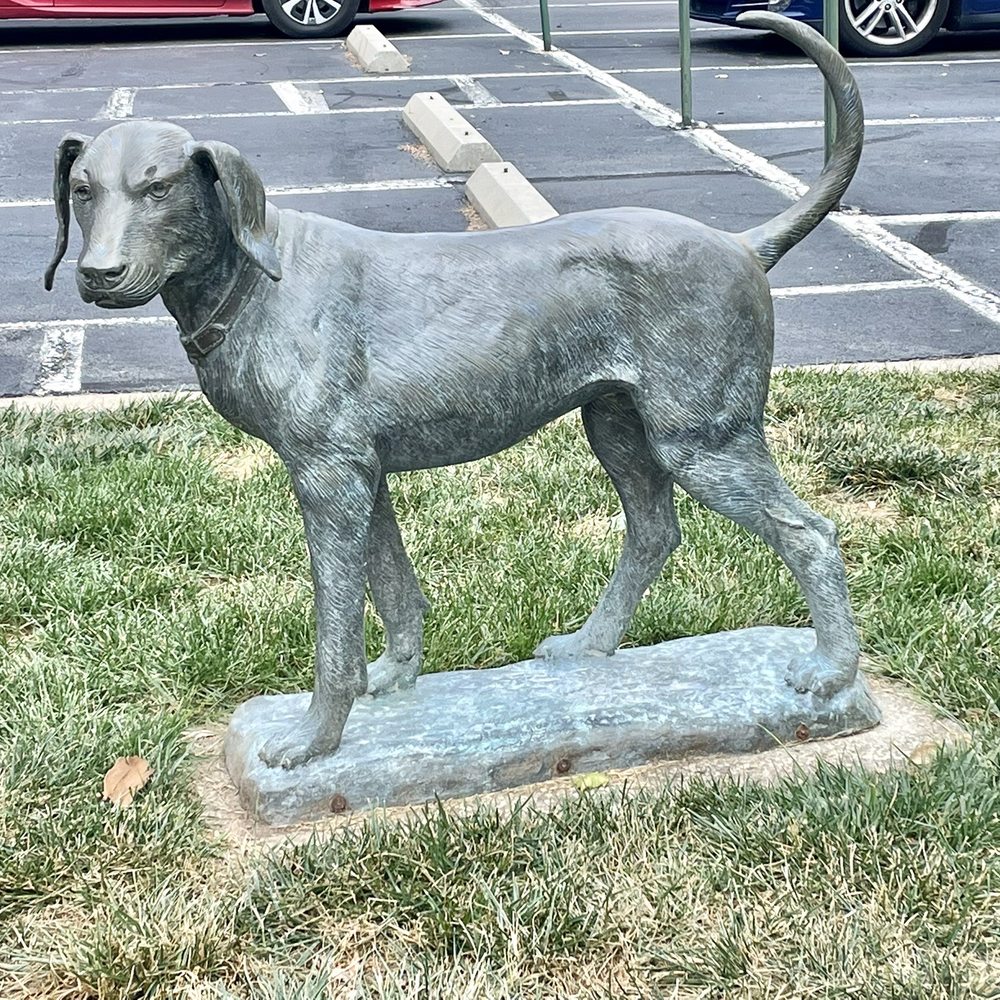 Dog statue outside the building