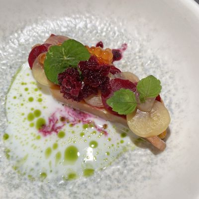 Hotel Copernicus by null