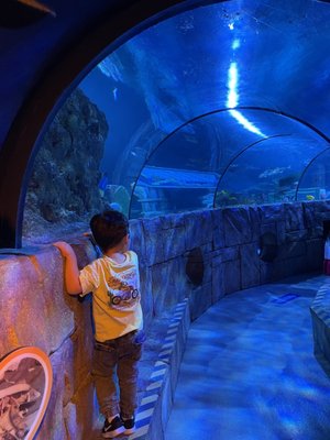 LEGOLAND California by null