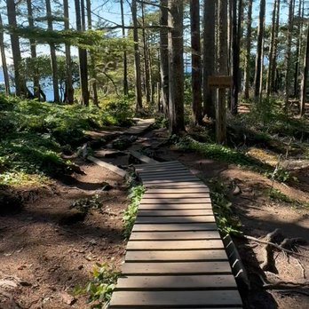 Cape Flattery - Rees's Roots - Cape Flattery Washington - Hiking Near Me - Neah Bay, Washington