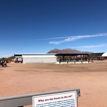 Rooster Cogburn Ostrich Ranch - Petting Zoos Near Me - Picacho, Arizona Rooster Cogburn Ostrich Ranch - Petting Zoos Near Me - Picacho, Arizona