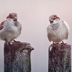 SoundGate Hearing Clinic - Blaine - Get back to enjoying nature and the finer things in life with Sound Gate Hearing - Blaine...