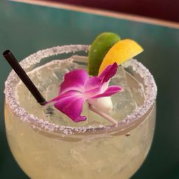 House Margarita House Margarita