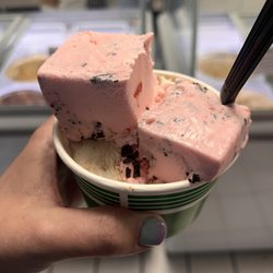 Scoops