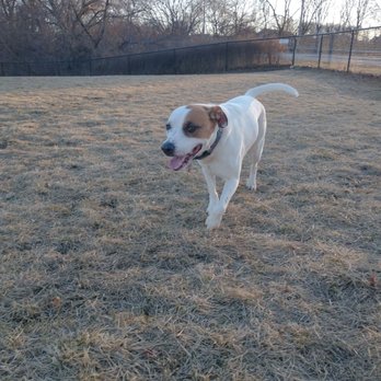 Bay View Dog Park - Sylvie - Dog Parks Near Me - Milwaukee, Wisconsin Bay View Dog Park - Sylvie - Dog Parks Near Me - Milwaukee, Wisconsin