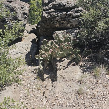 Oak Creek Canyon Overlook - Hiking Near Me - Flagstaff, Arizona Oak Creek Canyon Overlook - Hiking Near Me - Flagstaff, Arizona