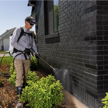 Pest Zero - Pest Control Near Me