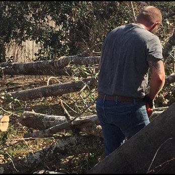 George Wilkinson Tree Service - Tree Services Near Me - Old Town, Florida George Wilkinson Tree Service - Tree Services Near Me - Old Town, Florida