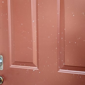 Dorset Landscaping - Sludge on garage door from Winston cutting the bricks. - Landscaping Near Me
