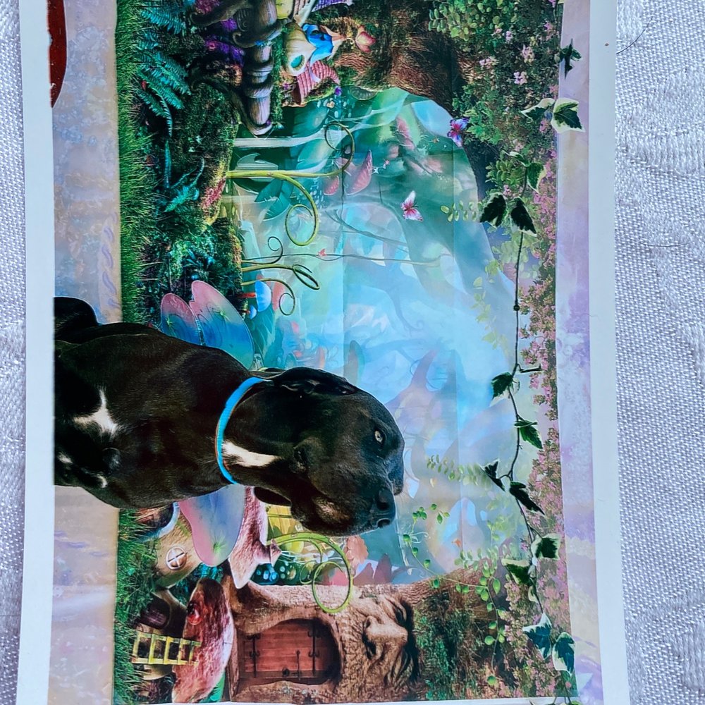 Here is my girl as a fairy princess Here is my girl as a fairy princess
