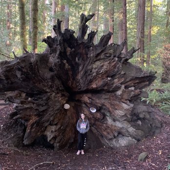 Stout Grove - Hiking Near Me
